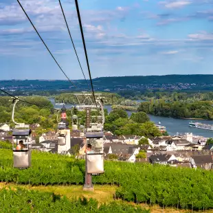 Aerial view of vineyard from cable car in Rüdesheim ,Germany
