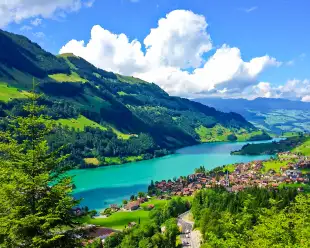 A scenic view or Swiss countryside as seen from a passing train
